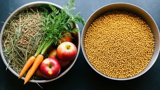 Alimentație naturală vs comercială